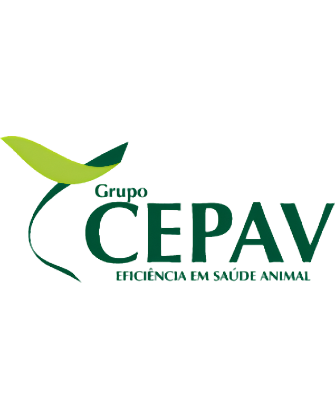 Grupo Cepav